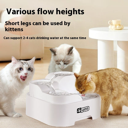 Cat Water Fountain Filter Circulating Flowing Live Water